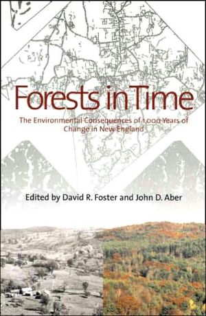 Book Forests in Time: The Environmental Consequences of 1,000 Years of Change in New England free