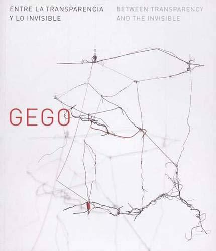 Book Gego: Between Transparency and the Invisible (Houston Museum of Fine Arts) free