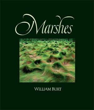 Book Marshes: The Disappearing Edens free