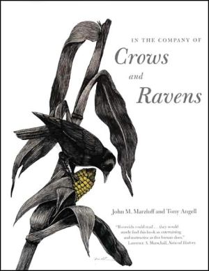 Book In the Company of Crows and Ravens free