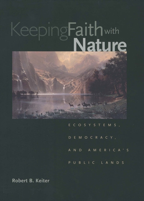 Book Keeping Faith with Nature: Ecosystems, Democracy and America's Public Lands free