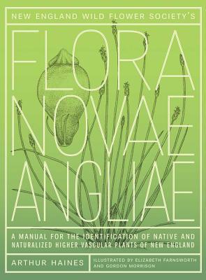 Book New England Wild Flower Society's Flora Novae Angliae: A Manual for the Identification of Native and Naturalized Higher Vascular Plants of New England free