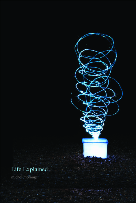 Book Life Explained free
