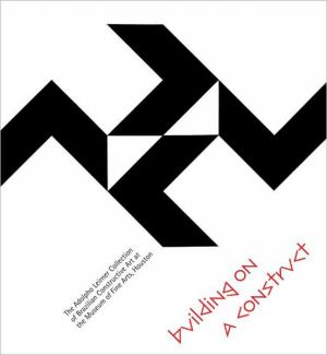Book Building on a Construct: The Adolpho Leirner Collection of Brazilian Constructive Art at the Museum of Fine Arts, Houston free