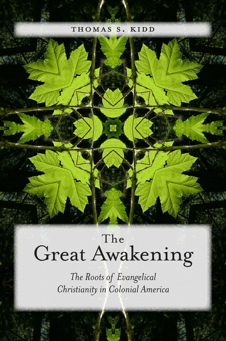 Book The Great Awakening free