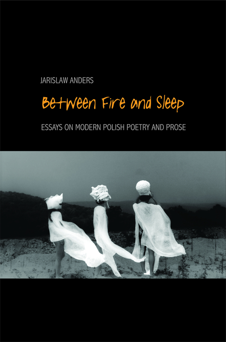 Book Between Fire and Sleep free