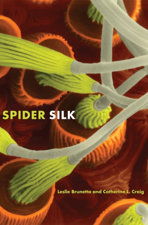 Book Spider Silk: Evolution and 400 Million Years of Spinning, Waiting, Snagging, and Mating free