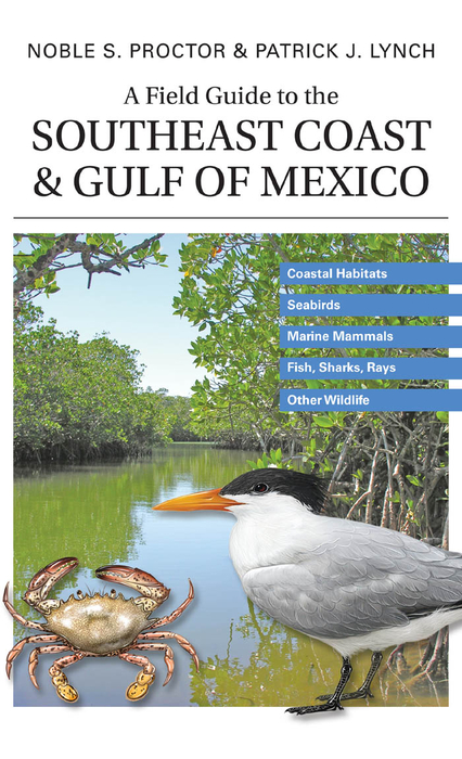 Book A Field Guide to the Southeast Coast and Gulf of Mexico free