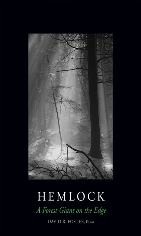 Book Hemlock: A Forest Giant on the Edge free