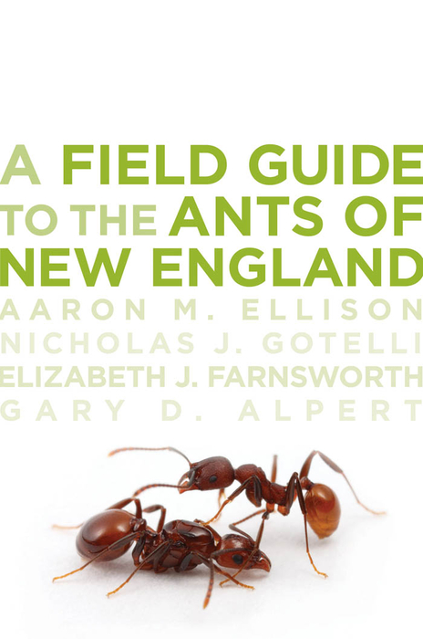 Book A Field Guide to the Ants of New England free