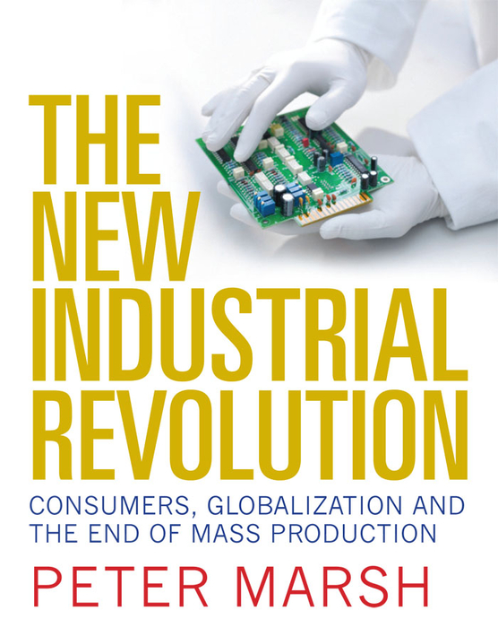 Book The New Industrial Revolution free