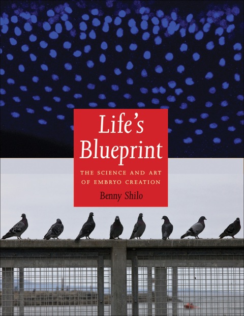 Book Life's Blueprint: The Science and Art of Embryo Creation free
