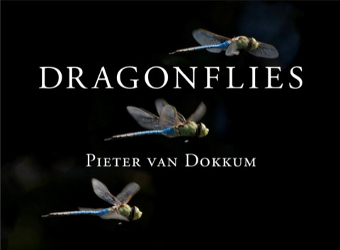 Book Dragonflies: Magnificent Creatures of Water, Air, and Land free