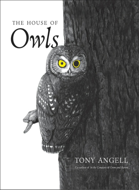 Book The House of Owls free