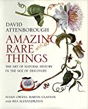 Book Amazing Rare Things: The Art of Natural History in the Age of Discovery free