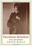 Book Gershom Scholem: Master of the Kabbalah (Jewish Lives) free