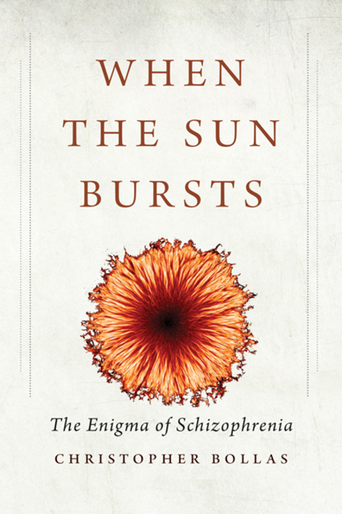 Book When the Sun Bursts: The Enigma of Schizophrenia free