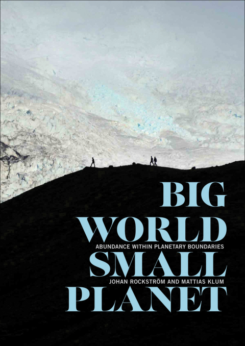 Book Big World, Small Planet: Abundance Within Planetary Boundaries free