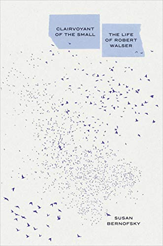 Book Clairvoyant of the Small: The Life of Robert Walser free