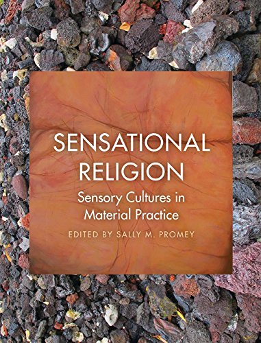 Book Sensational Religion: Sensory Cultures in Material Practice free