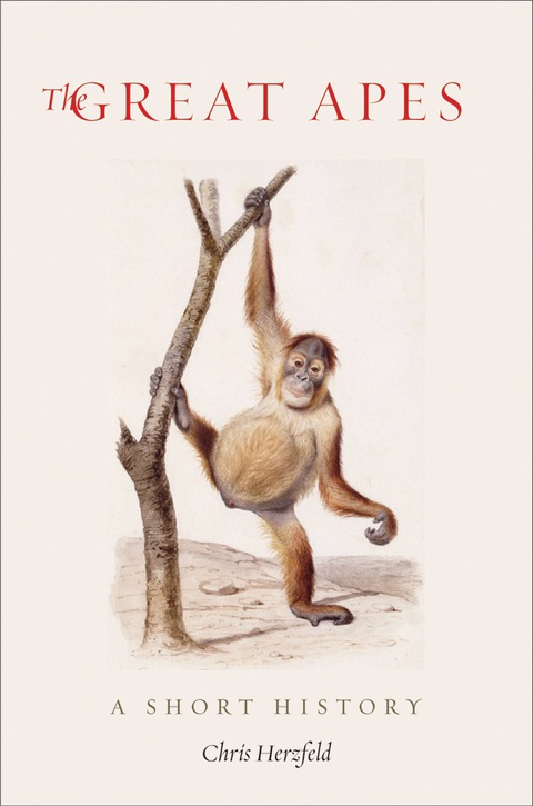 Book The Great Apes: A Short History free