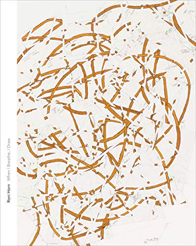 Book Roni Horn: When I Breathe, I Draw (Menil Drawing Institute Series) free