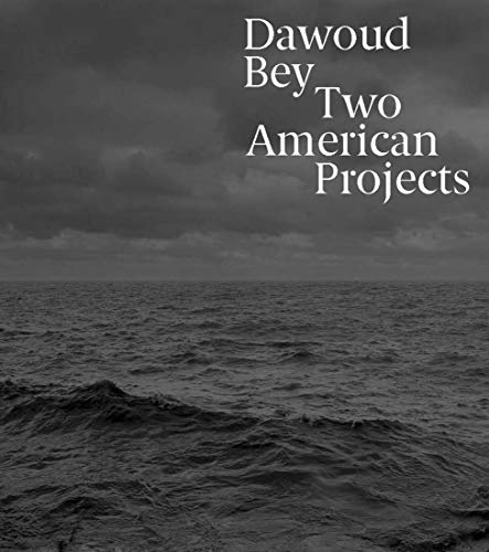 Book Dawoud Bey: Two American Projects free
