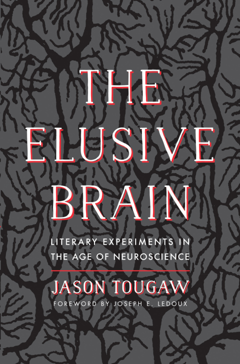 Book Elusive Brain: Literary Experiments in the Age of Neuroscience free