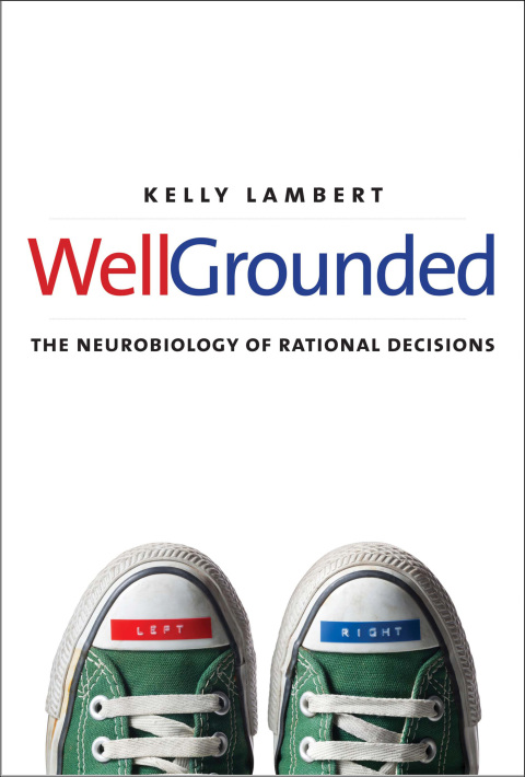 Book Well-Grounded: The Neurobiology of Rational Decisions free