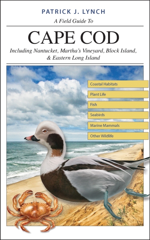 Book A Field Guide to Cape Cod free