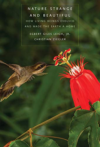 Book Nature Strange and Beautiful: How Living Beings Evolved and Made the Earth a Home free