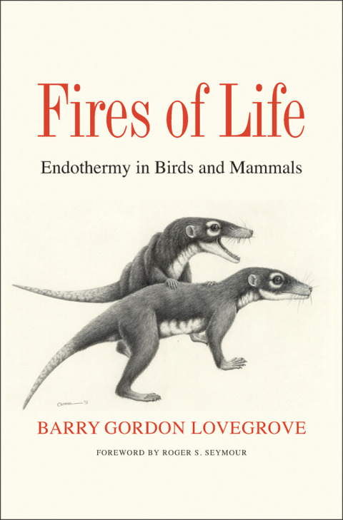 Book Fires of Life free