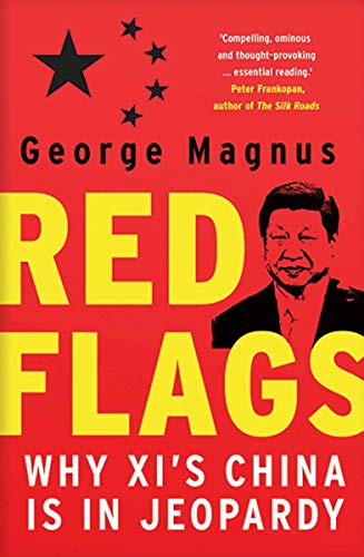 Book Red Flags: Why Xi's China Is in Jeopardy free