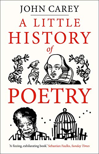 Book A Little History of Poetry (Little Histories) free