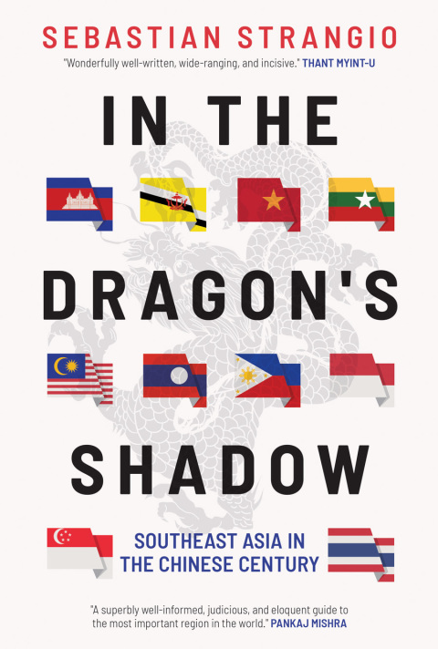 Book In the Dragon's Shadow: Southeast Asia in the Chinese Century free