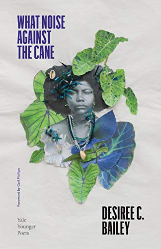 Book What Noise Against the Cane (Volume 115) (Yale Series of Younger Poets) free