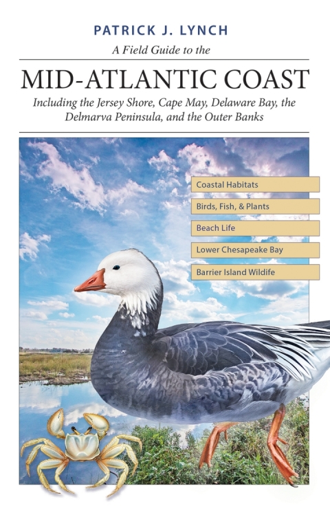 Book A Field Guide to the Mid-Atlantic Coast free