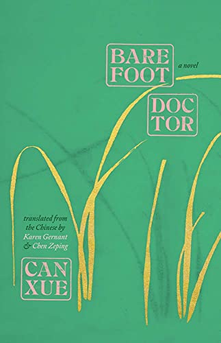 Book Barefoot Doctor: A Novel (The Margellos World Republic of Letters) free