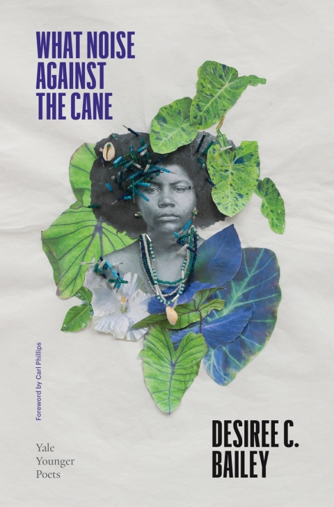 Book What Noise Against the Cane free