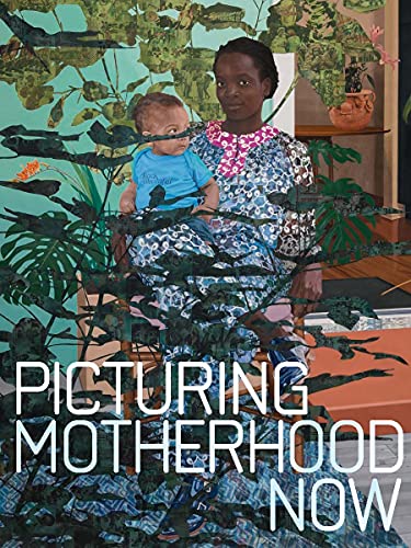 Book Picturing Motherhood Now free