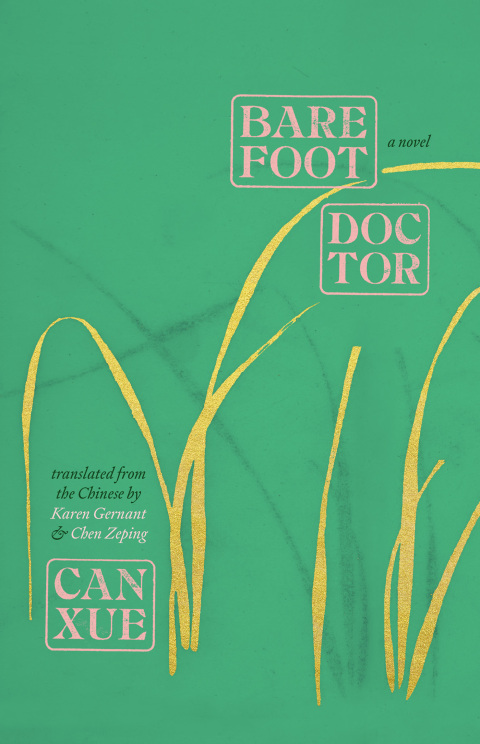 Book Barefoot Doctor free