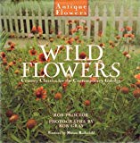 Book Wild Flowers: Country Classics for the Contemporary Garden (Antique Flowers) free