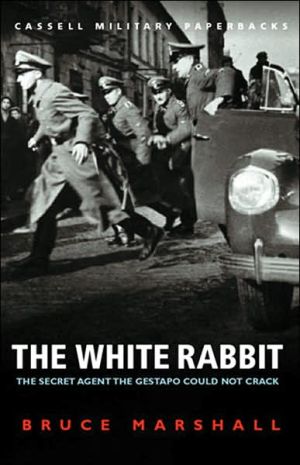 Book The White Rabbit: The Secret Agent the Gestapo Could Not Crack free