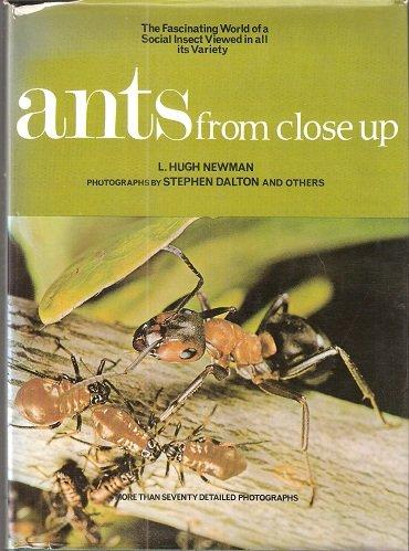 Book Ants From Close Up free
