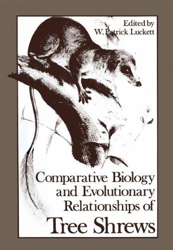 Book Comparative Biology and Evolutionary Relationships of Tree Shrews (Advances in Primatology) free