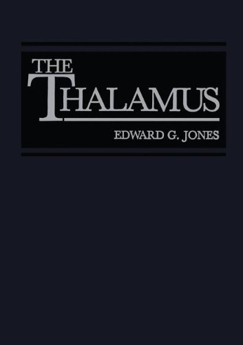 Book The Thalamus free