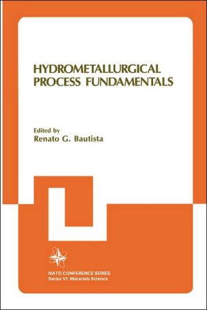 Book Hydrometallurgical Process Fundamentals (NATO Conference Series VI, Materials Science, Volume 10) free