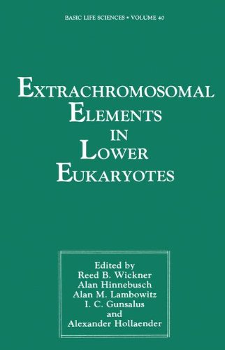 Book Extrachromosomal Elements in Lower Eukaryotes (Basic Life Sciences) free