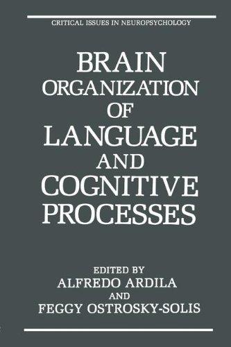 Book Brain Organization Of Language And Cognitive Processes (critical Issues In Neuropsychology) free