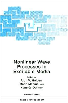 Book Nonlinear Wave Processes In Excitable Media (nato Science Series B: Physics) free